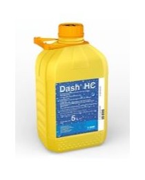 Dash HC