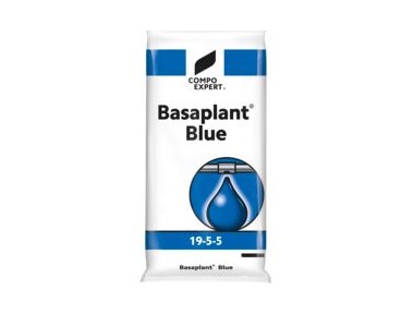 Basaplant Blue