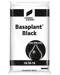 Basaplant Black
