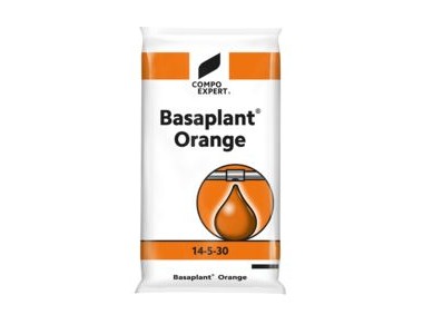 Basaplant Orange