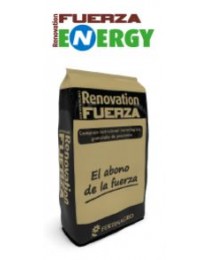 Renovation Fuerza Energy